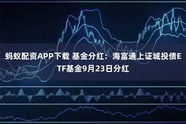 蚂蚁配资APP下载 基金分红：海富通上证城投债ETF基金9月23日分红