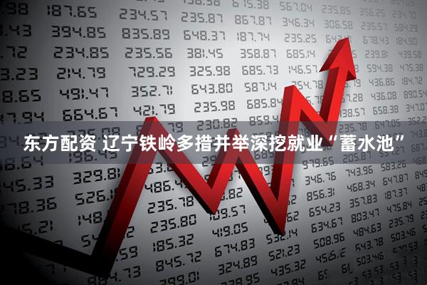 东方配资 辽宁铁岭多措并举深挖就业“蓄水池”