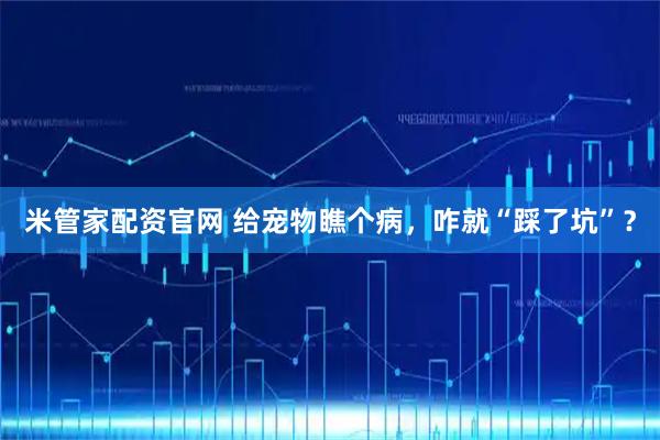 米管家配资官网 给宠物瞧个病，咋就“踩了坑”？